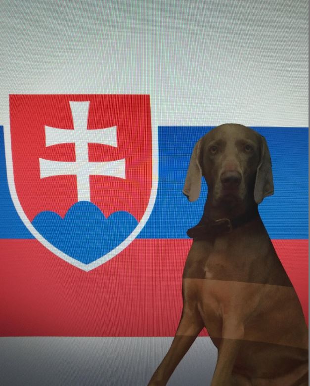 Einreise Slowakei mit Hund Hundetravel Urlaub mit Hund